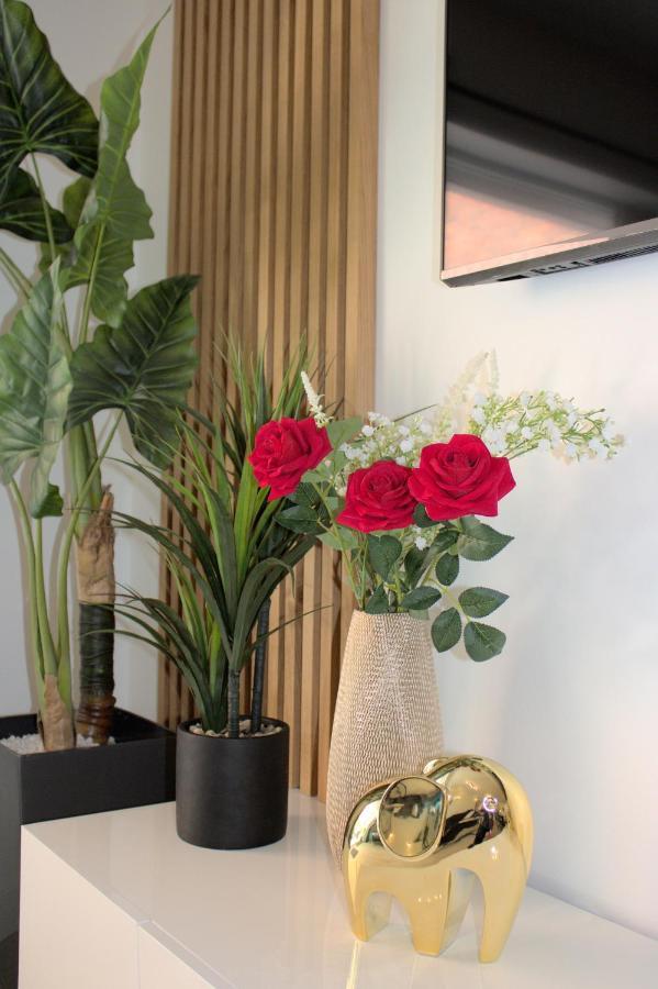 L'Escale Tropicale, Appartement Independant Avec Terrasse Privative Saint-Quentin  Eksteriør bilde