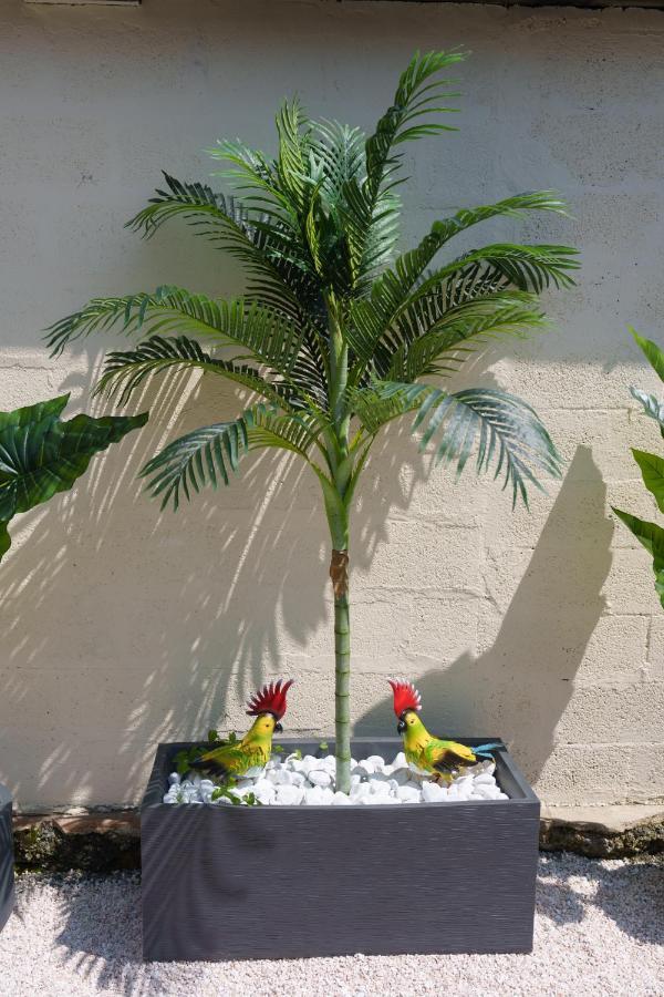L'Escale Tropicale, Appartement Independant Avec Terrasse Privative Saint-Quentin  Eksteriør bilde